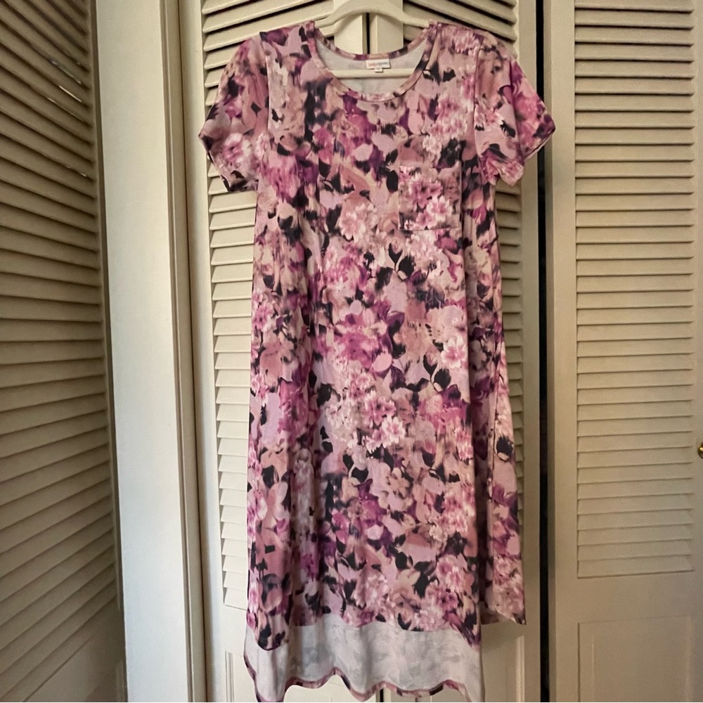 LuLaRoe Watercolor Floral Carly Dress